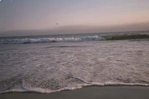 Photo of Miramar Beach, Half Moon Bay -- by Monique Andrews