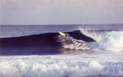 Indo-Pula Bawa Off the Top, Todd Zboray