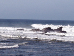 Pillar Point, Princeton by the Sea, CA